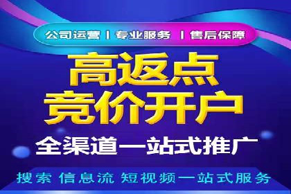 某行业巨头背后的SEM代运营服务公司